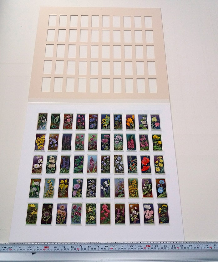 Cigarette Cards multi-aperture mount lifted up